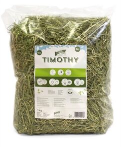 BUNNY NATURE TIMOTHY HOOI