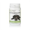 PHYTOTREAT GLUCOSAMINE-EXTRA HOND