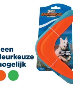 CHUCKIT AMPHIBIOUS BOOMERANG ASSORTI