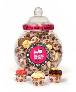 THE BARKING BAKERY VOORRAADPOT MINI ICED WOOFINS