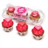 THE BARKING BAKERY I WOOF YOU VALENTINE MINI ICED WOOFINS TRIO ASSORTI