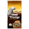 PRESTIGE PREMIUM AFRIKAANSE PAPEGAAI MET RODE PEPERS
