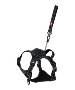 ZOLUX EASYRIDE HONDENTUIG ZWART