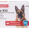 BEAPHAR VLO KILL+ GROTE HOND VANAF 11 KG