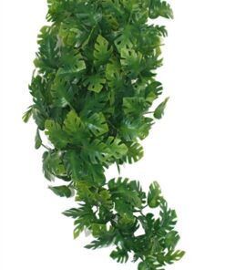 KOMODO PLANT SPLIT PHILODENDRON