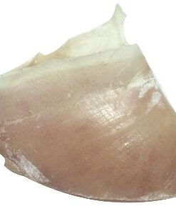 DOGSTAR KALFSHOEVEN GROOT