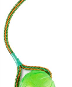 STARMARK SWING 'N FLING CHEW BAL AAN KOORD