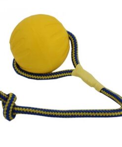 STARMARK SWING 'N FLING DURAFOAM FETCH BAL AAN KOORD