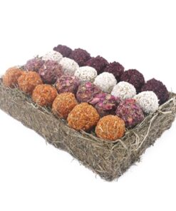 GIFT 'N' FORAGE TRUFFEL SCHAAL