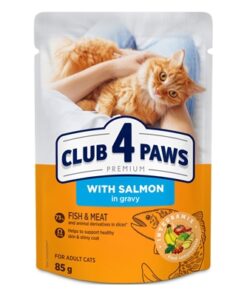 CLUB 4 PAWS PREMIUM ADULT SALMON IN GRAVY POUCH