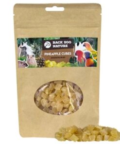 BACK ZOO NATURE ANANAS CUBES
