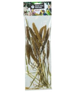 BACK ZOO NATURE MILLET SETARIA ITALICA