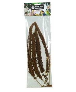 BACK ZOO NATURE FRANSE TROSGIERST ROOD