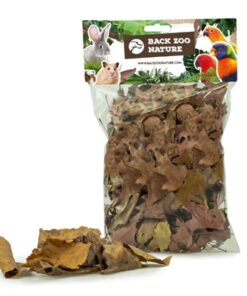 BACK ZOO NATURE DISCOVERY LEAVES