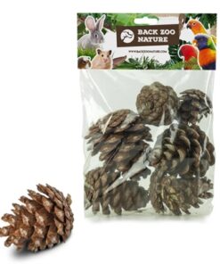 BACK ZOO NATURE DENNENAPPELS