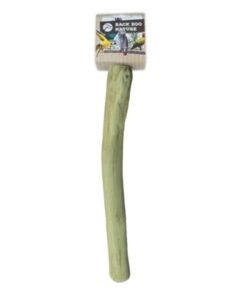 BACK ZOO NATURE JAVA PERCH