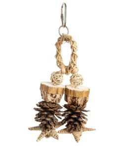 BACK ZOO NATURE FOREST RING