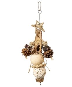 BACK ZOO NATURE FOREST STAR