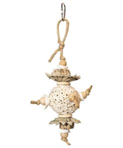 BACK ZOO NATURE BALL AND SHELLS