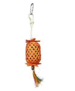 BACK ZOO NATURE LANTERN PINATA